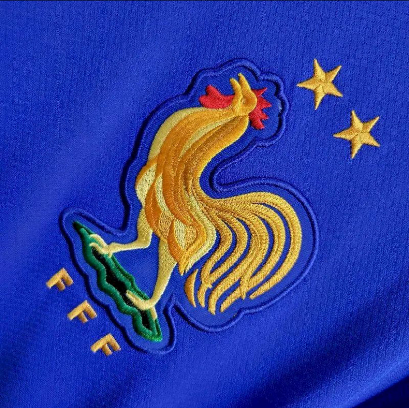 FRANCE EURO DOMICILE 24/25