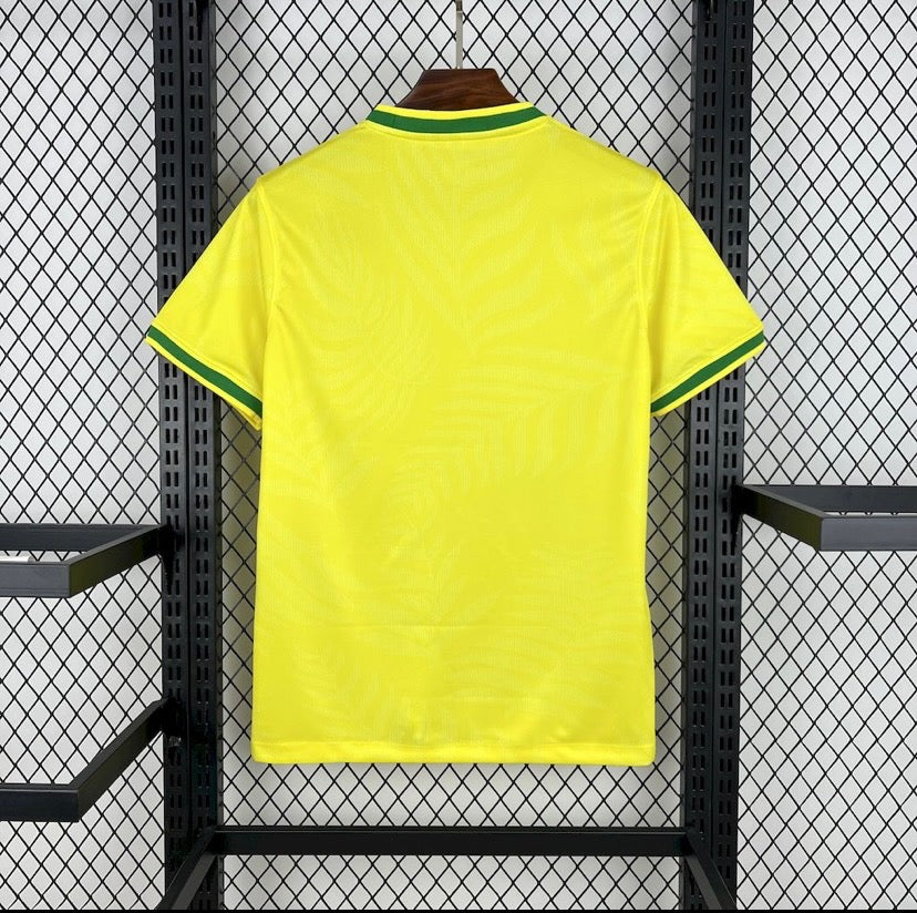 BRESIL PIGEON JAUNE 25/26