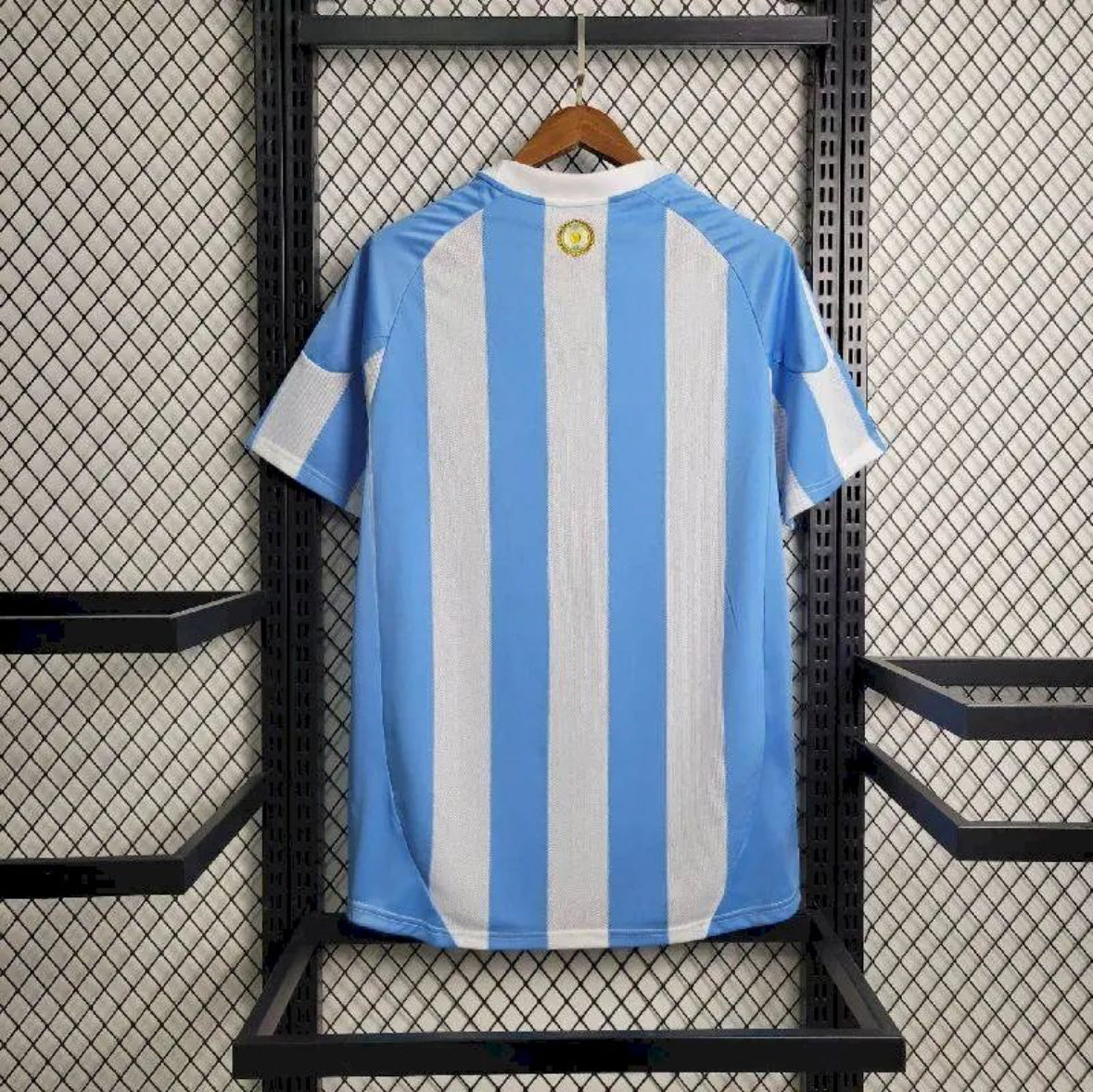 ARGENTINE RETRO DOMICILE 2010