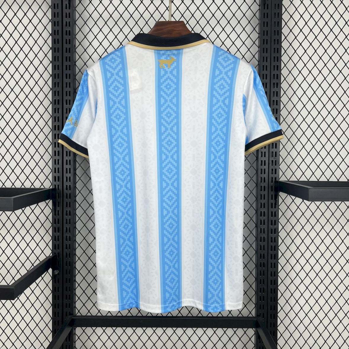 ARGENTINE CONCEPT 24/25