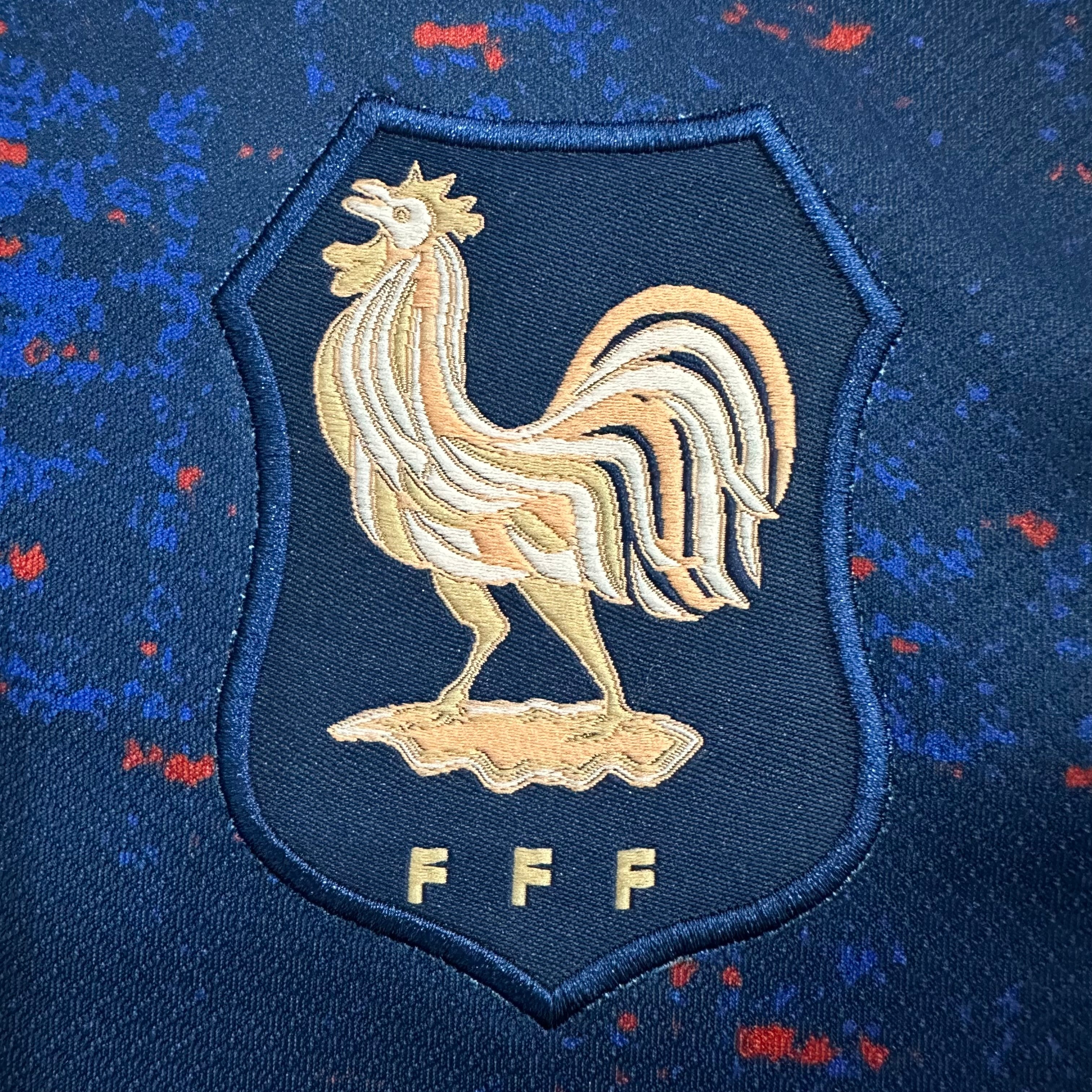 FRANCE DOMICILE 24/25
