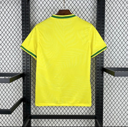 BRESIL PIGEON JAUNE 25/26