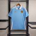 Maillot Belgique extérieur 2024-2025 blanc avec logo Adidas et FRB