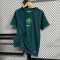 Maillot Nigeria domicile 24/25 vert et blanc Super Eagles officiel