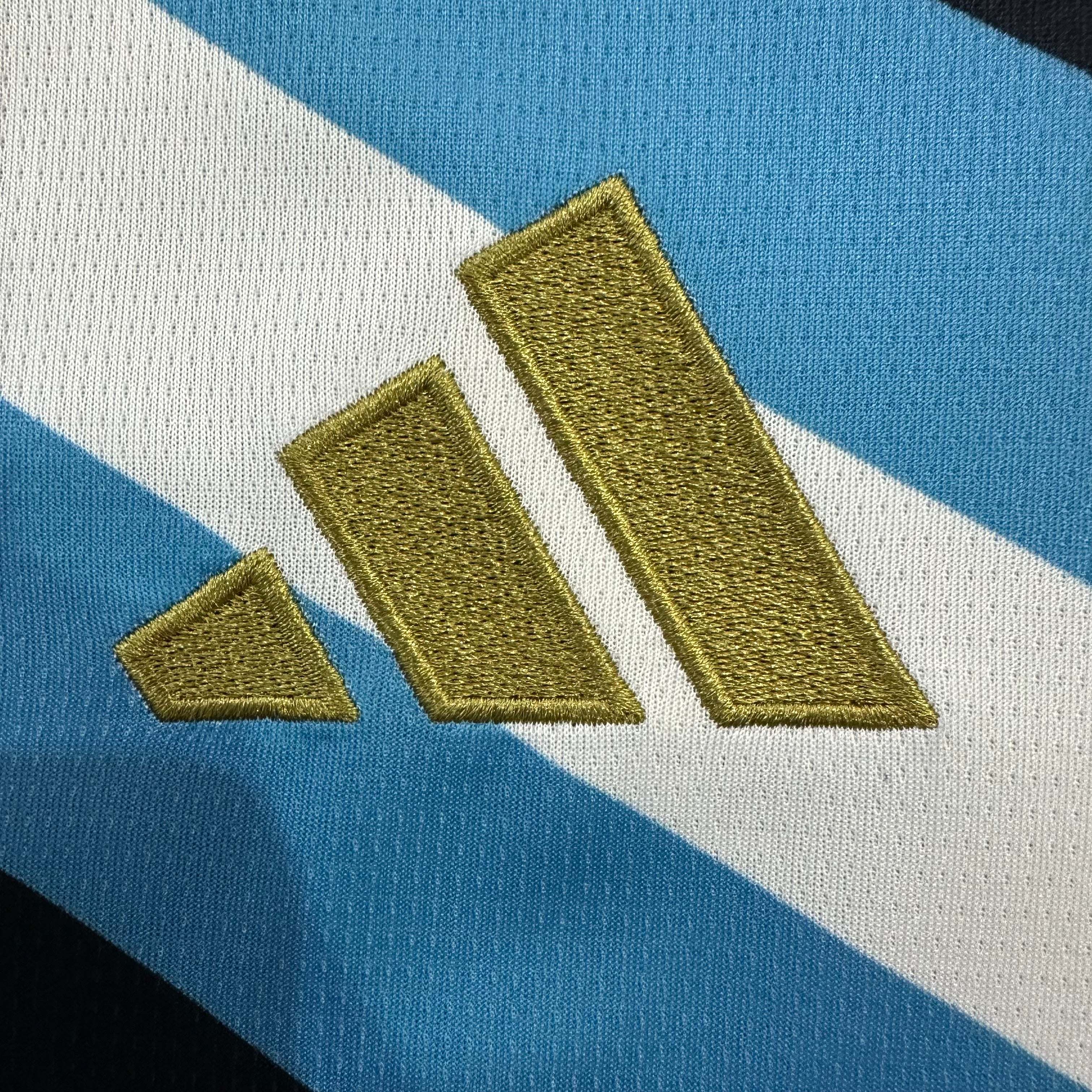 ARGENTINE CDM 2026